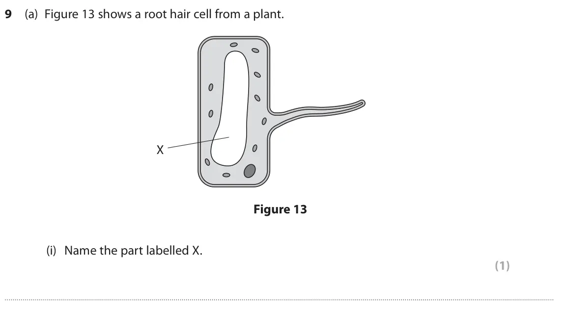 June 2024 Paper 2 Foundation, question 9(a)(i): Name the part labelled X. (1)