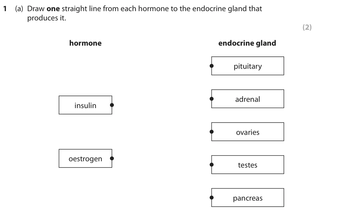 June 2025 Paper 2 Foundation, question 1(a): Draw one straight line from each hormone to the endocrine gland that produces it. (2) hormone endocrine gland pituitary adrenal insulin ovaries oestrogen testes