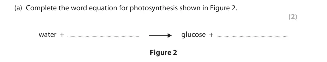 June 2025 Paper 2 Foundation, question 2(a): Complete the word equation for photosynthesis shown in Figure 2. (2) water + glucose + Figure 2