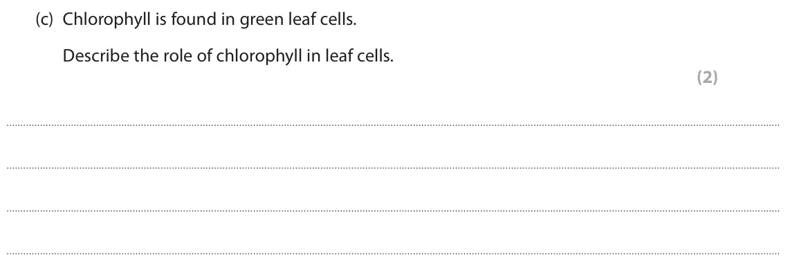 June 2025 Paper 2 Foundation, question 2(c): Chlorophyll is found in green leaf cells. Describe the role of chlorophyll in leaf cells. (2)