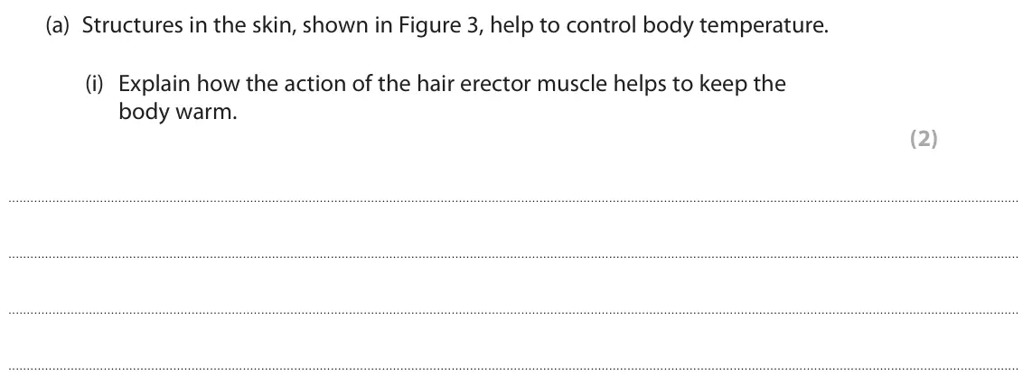 June 2025 Paper 2 Foundation, question 3(a)(i): Explain how the action of the hair erector muscle helps to keep the body warm. (2)