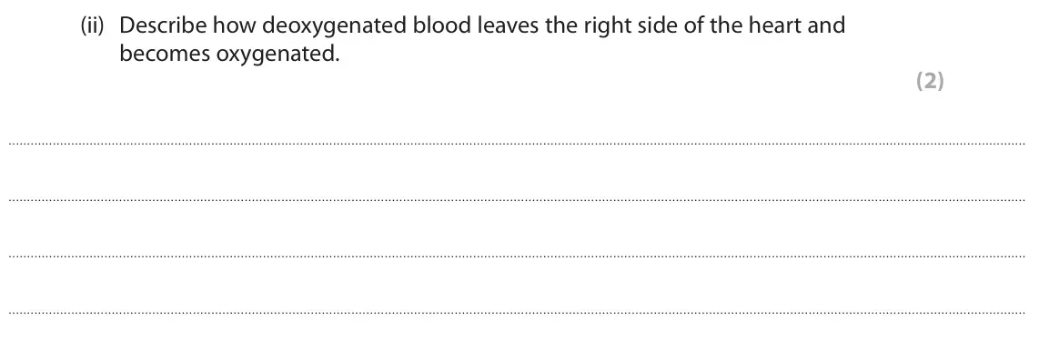 June 2025 Paper 2 Foundation, question 6(a)(ii): Describe how deoxygenated blood leaves the right side of the heart and becomes oxygenated. (2)