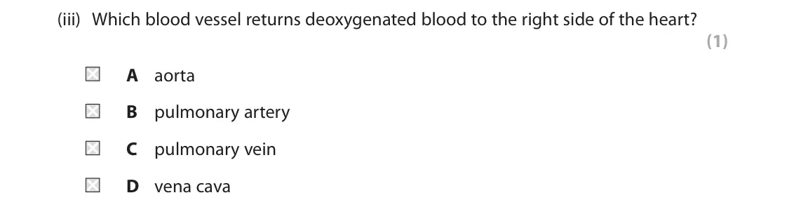 June 2025 Paper 2 Foundation, question 6(a)(iii): Which blood vessel returns deoxygenated blood to the right side of the heart? (1) A aorta B pulmonary artery C pulmonary vein D vena cava