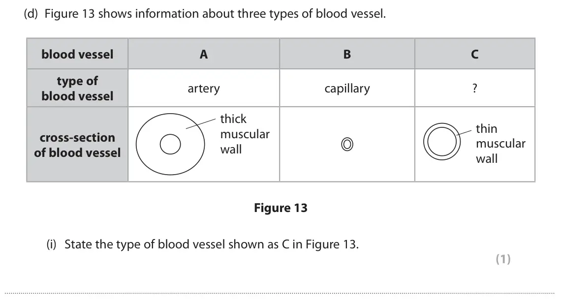 June 2025 Paper 2 Foundation, question 6(d)(i): State the type of blood vessel shown as C in Figure 13. (1)