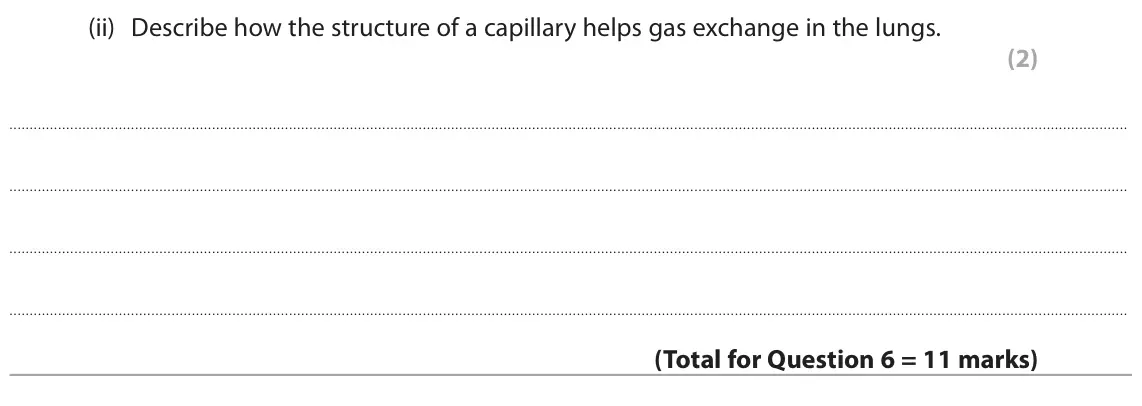 June 2025 Paper 2 Foundation, question 6(d)(ii): Describe how the structure of a capillary helps gas exchange in the lungs. (2)