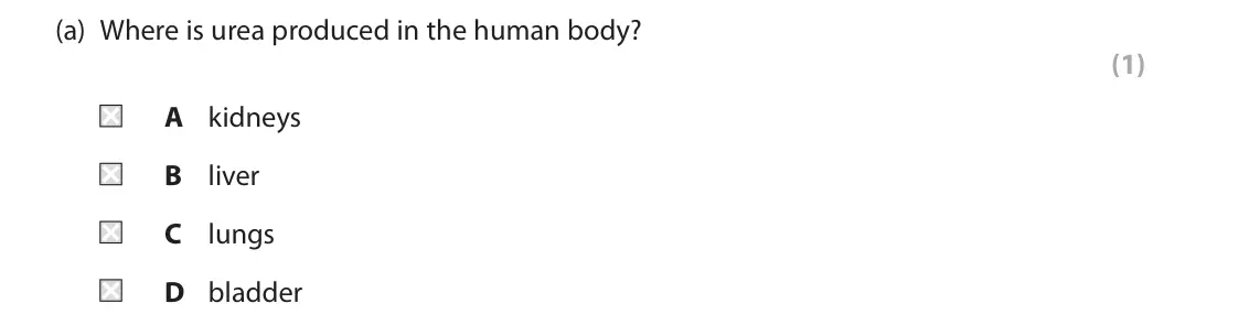 June 2025 Paper 2 Foundation, question 7(a): Where is urea produced in the human body? (1) A kidneys B liver C lungs D bladder