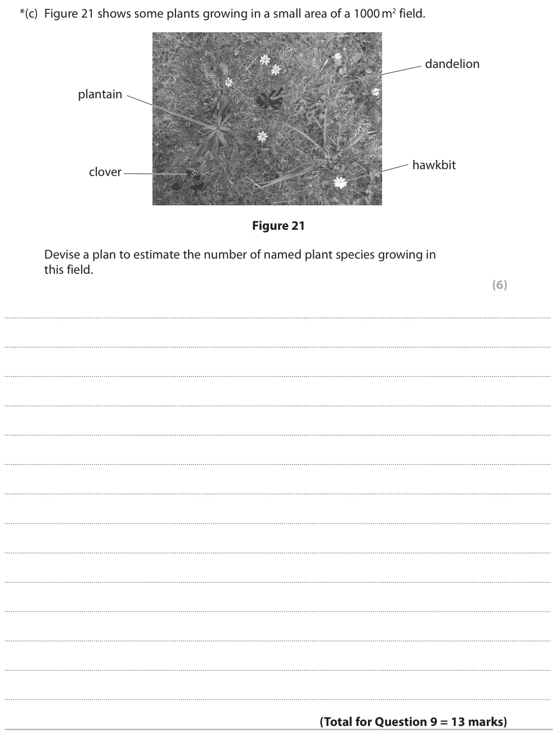 June 2025 Paper 2 Foundation, question 9(c): Figure 21 shows some plants growing in a small area of a 1000 m2 field. dandelion plantain hawkbit clover Figure 21 Devise a plan to estimate the number of name