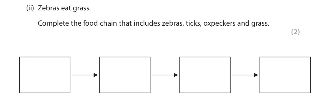 November 2020 Paper 2 Foundation, question 2(c)(ii): Zebras eat grass. Complete the food chain that includes zebras, ticks, oxpeckers and grass. (2)