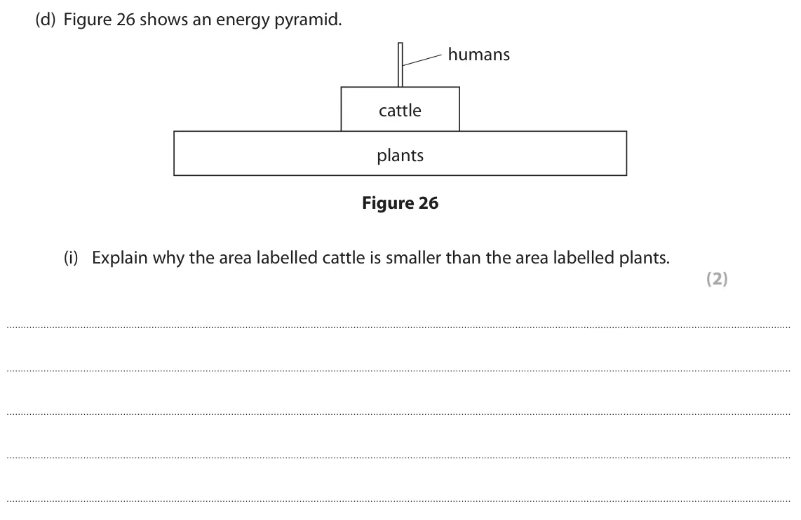 November 2020 Paper 2 Foundation, question 10(d)(i): Explain why the area labelled cattle is smaller than the area labelled plants. (2)