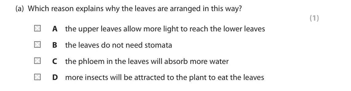November 2021 Paper 2 Foundation, question 7(a): Which reason explains why the leaves are arranged in this way? (1) A the upper leaves allow more light to reach the lower leaves B the leaves do not need stomat