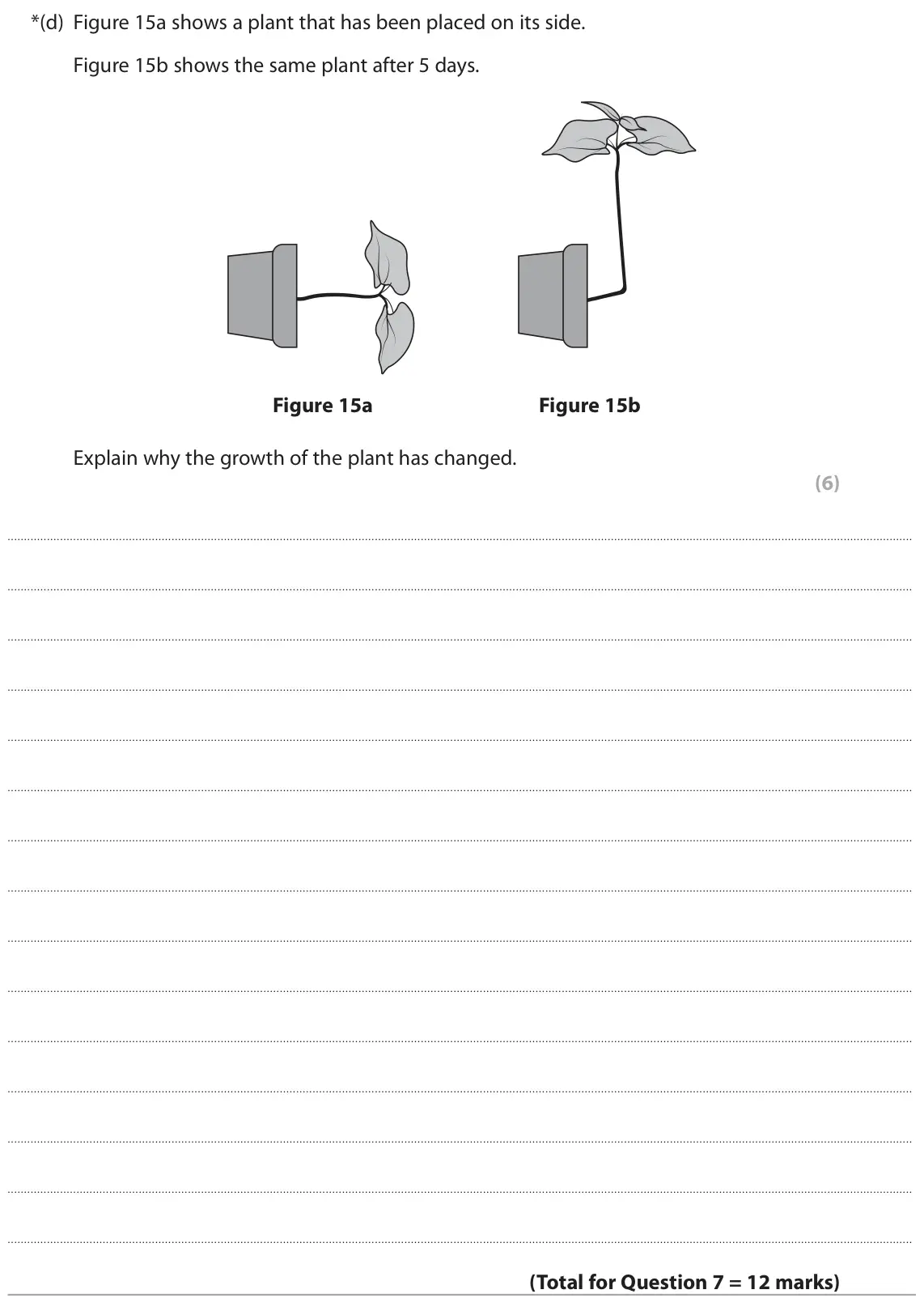 November 2021 Paper 2 Foundation, question 7(d): Figure 15a shows a plant that has been placed on its side. Figure 15b shows the same plant after 5 days. Figure 15a Figure 15b Explain why the growth of the pl
