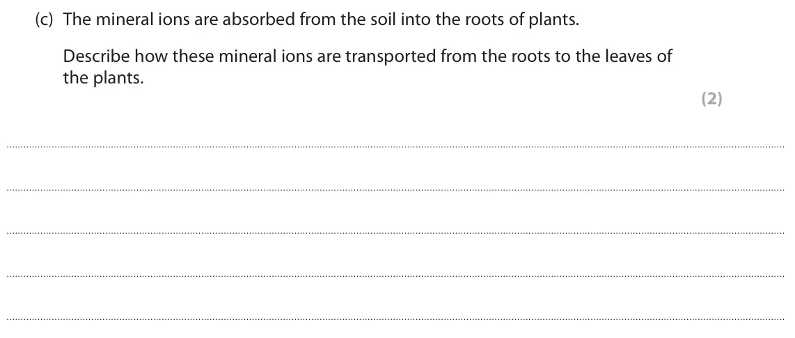 November 2021 Paper 2 Foundation, question 8(c): The mineral ions are absorbed from the soil into the roots of plants. Describe how these mineral ions are transported from the roots to the leaves of the plants