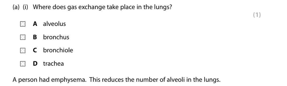 Specimen Paper 2 Foundation, question 2(a)(i): Where does gas exchange take place in the lungs? (1) A alveolus B bronchus C bronchiole D trachea A person had emphysema. This reduces the number of alveoli in