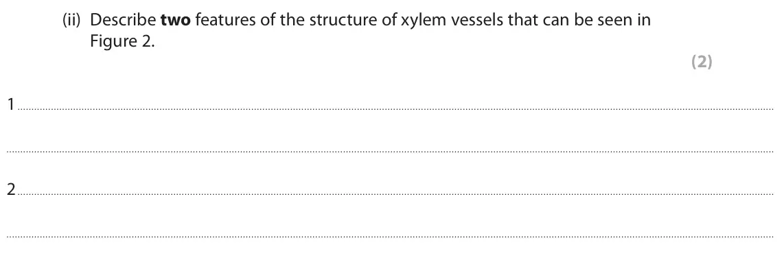 June 2022 Paper 2 Higher, question 2(a)(ii): Describe two features of the structure of xylem vessels that can be seen in Figure 2. (2) 1 2