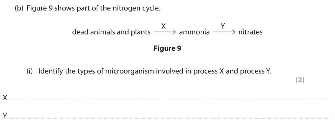 June 2022 Paper 2 Higher, question 5(b)(i): Identify the types of microorganism involved in process X and process Y. (2) X. Y