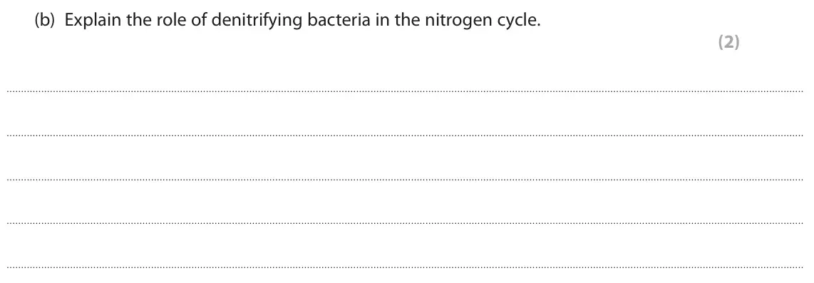 June 2023 Paper 2 Higher, question 9(b): Explain the role of denitrifying bacteria in the nitrogen cycle. (2)