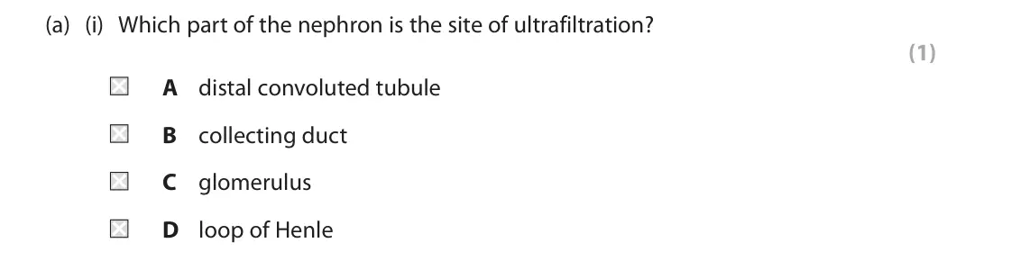 June 2023 Paper 2 Higher, question 10(a)(i): Which part of the nephron is the site of ultrafiltration? (1) A distal convoluted tubule B collecting duct C glomerulus D loop of Henle