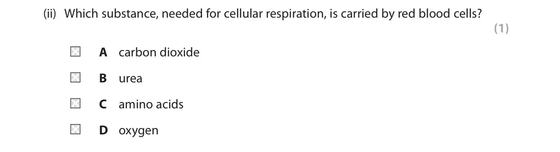 June 2024 Paper 2 Higher, question 2(a)(ii): Which substance, needed for cellular respiration, is carried by red blood cells? (1) A carbon dioxide B urea C amino acids D oxygen