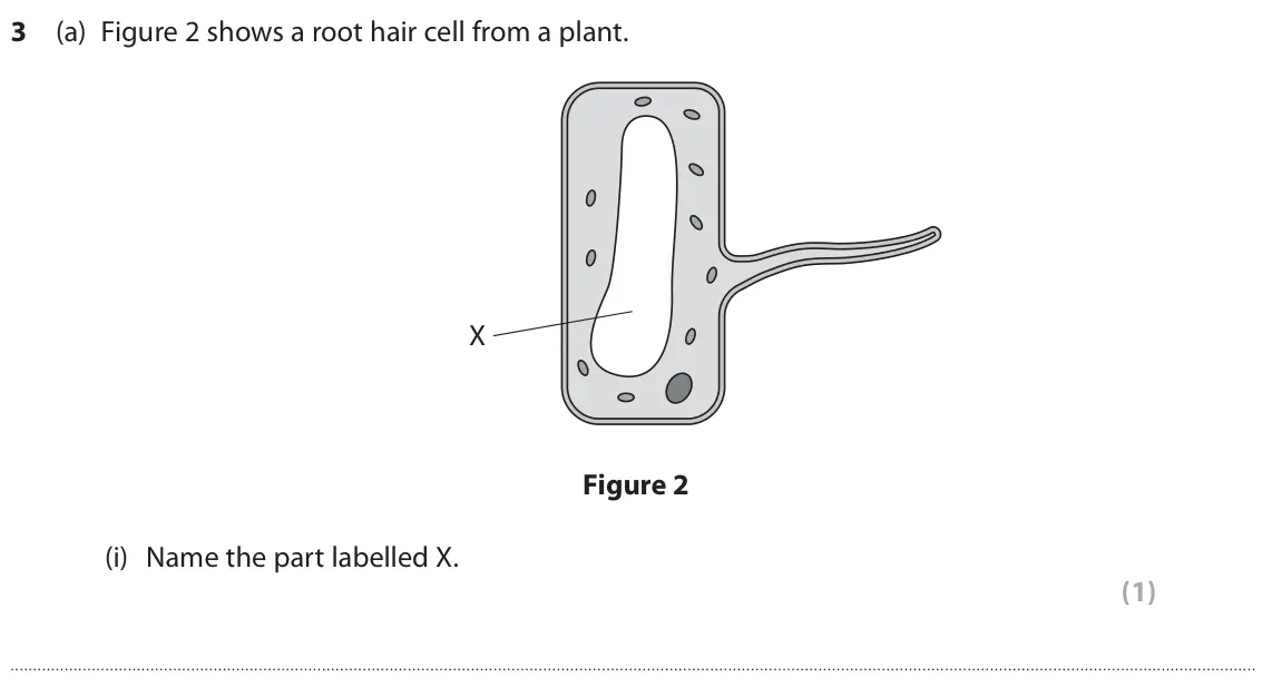 June 2024 Paper 2 Higher, question 3(a)(i): Name the part labelled X. (1)