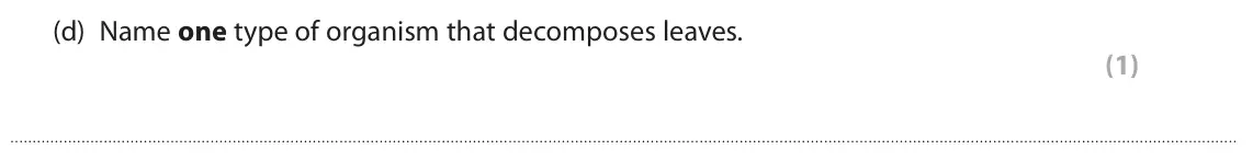 June 2024 Paper 2 Higher, question 4(d): Name one type of organism that decomposes leaves. (1)