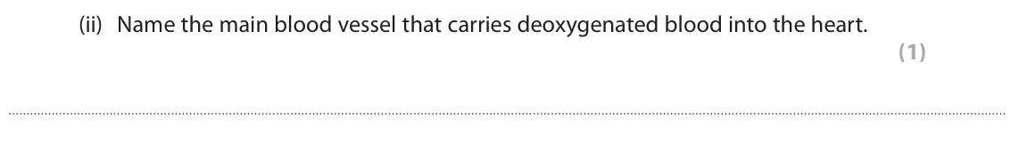 June 2024 Paper 2 Higher, question 8(a)(ii): Name the main blood vessel that carries deoxygenated blood into the heart. (1)