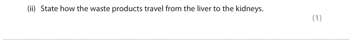 June 2024 Paper 2 Higher, question 10(a)(ii): State how the waste products travel from the liver to the kidneys. (1)