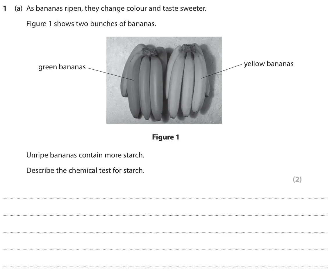 June 2025 Paper 2 Higher, question 1(a): As bananas ripen, they change colour and taste sweeter. Figure 1 shows two bunches of bananas. yellow bananas green bananas Figure 1 Unripe bananas contain more