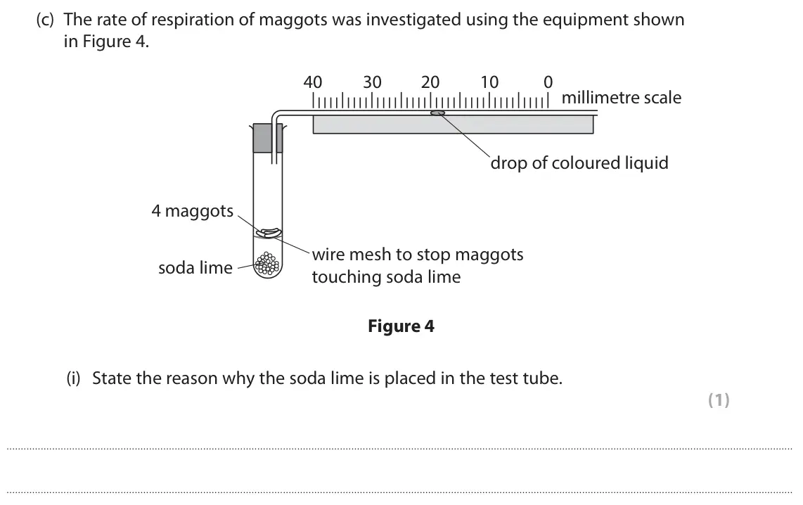 June 2025 Paper 2 Higher, question 2(c)(i): State the reason why the soda lime is placed in the test tube. (1)