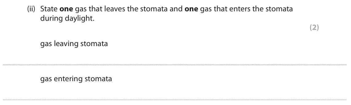 June 2025 Paper 2 Higher, question 6(a)(ii): State one gas that leaves the stomata and one gas that enters the stomata during daylight. (2) gas leaving stomata gas entering stomata
