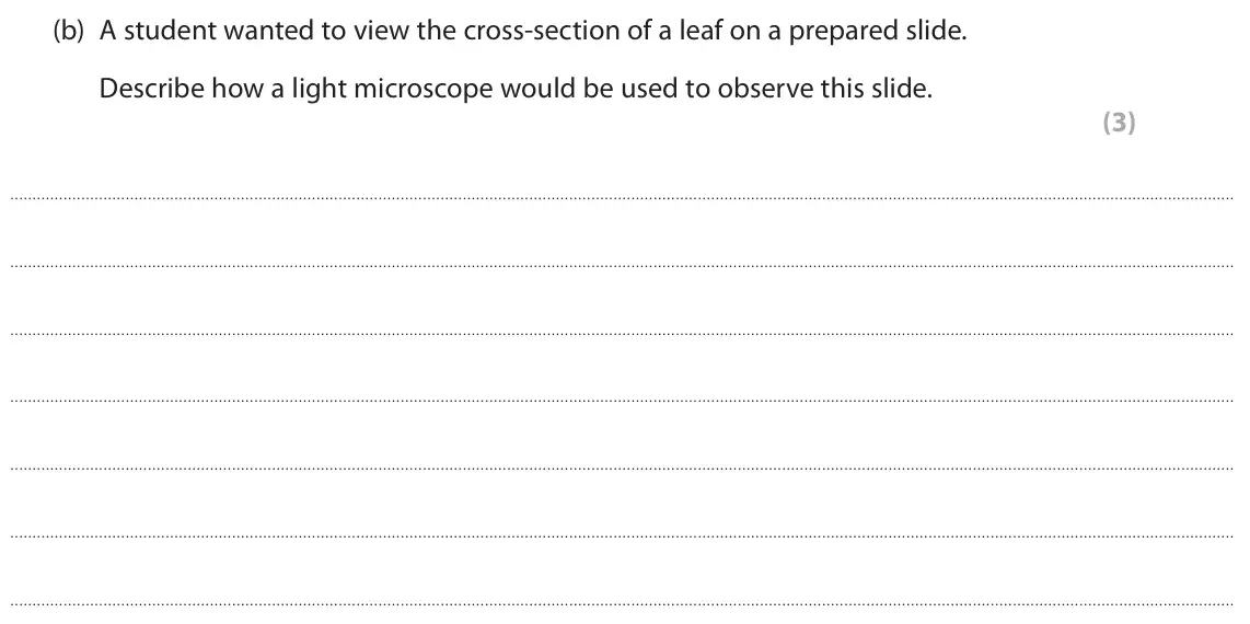June 2025 Paper 2 Higher, question 6(b): A student wanted to view the cross-section of a leaf on a prepared slide. Describe how a light microscope would be used to observe this slide. (3)