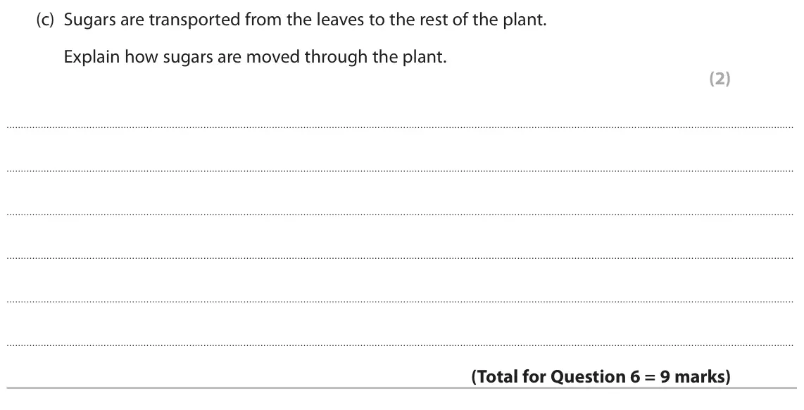 June 2025 Paper 2 Higher, question 6(c): Sugars are transported from the leaves to the rest of the plant. Explain how sugars are moved through the plant. (2)