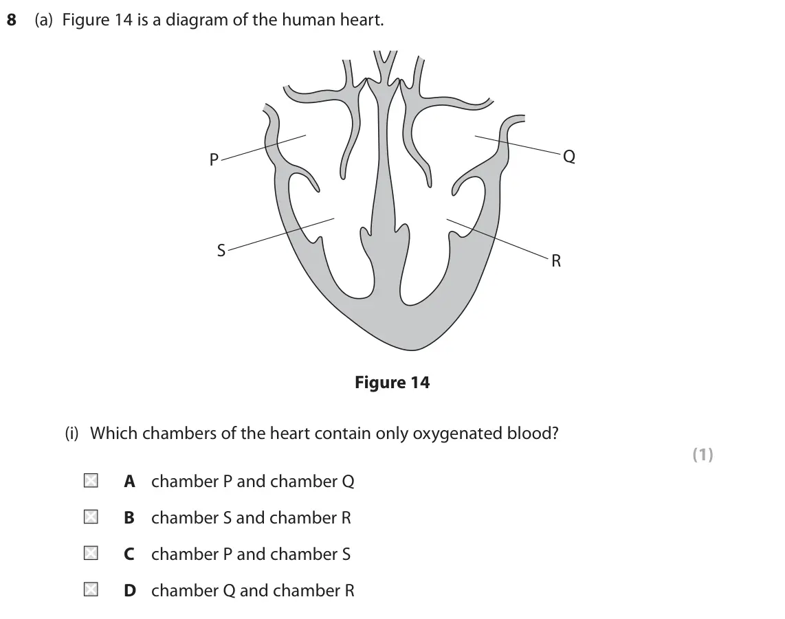 June 2025 Paper 2 Higher, question 8(a)(i): Which chambers of the heart contain only oxygenated blood? (1) A chamber P and chamber Q B chamber S and chamber R C chamber P and chamber S D chamber Q and cha