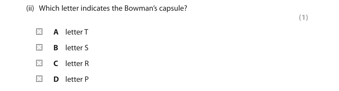June 2025 Paper 2 Higher, question 10(a)(ii): Which letter indicates the Bowman’s capsule? (1) A letter T B letter S C letter R D letter P