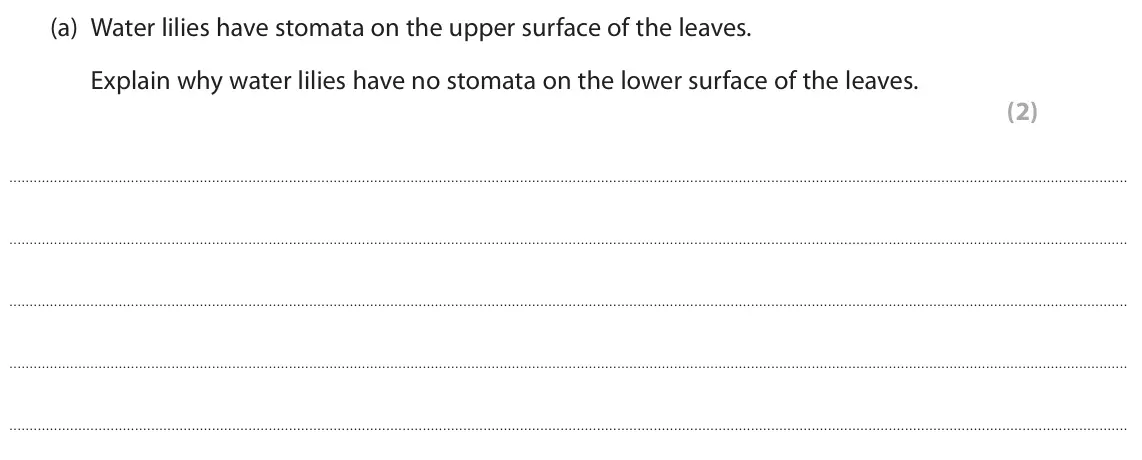 November 2020 Paper 2 Higher, question 2(a): Water lilies have stomata on the upper surface of the leaves. Explain why water lilies have no stomata on the lower surface of the leaves. (2)
