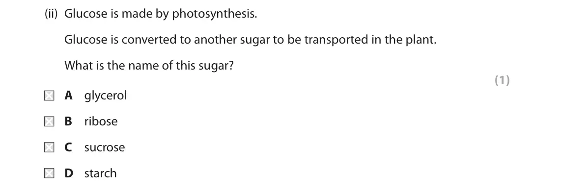 November 2020 Paper 2 Higher, question 2(b)(ii): Glucose is made by photosynthesis. Glucose is converted to another sugar to be transported in the plant. What is the name of this sugar? (1) A glycerol B ribose