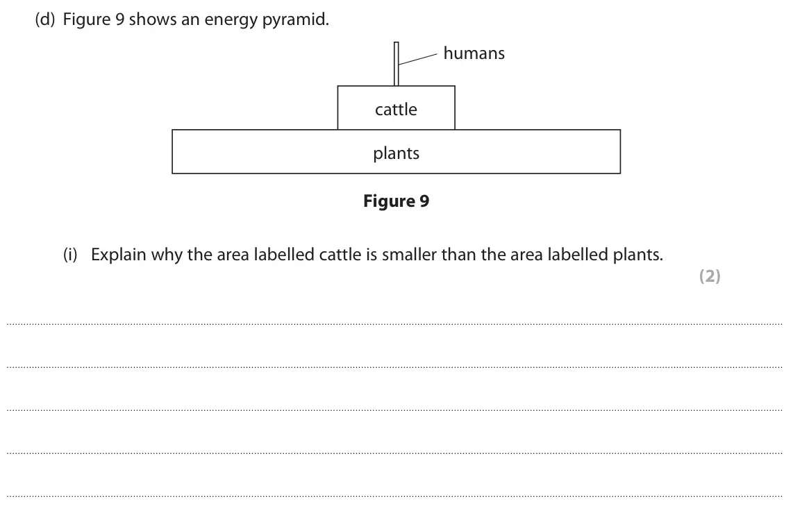 November 2020 Paper 2 Higher, question 4(d)(i): Explain why the area labelled cattle is smaller than the area labelled plants. (2)