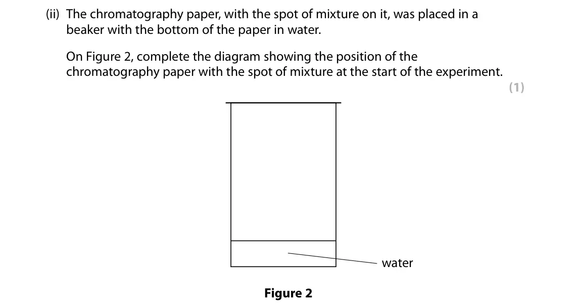 Specimen Paper 1 Higher, question 1(a)(ii): The chromatography paper, with the spot of mixture on it, was placed in a beaker with the bottom of the paper in water. On Figure 2, complete the diagram showin