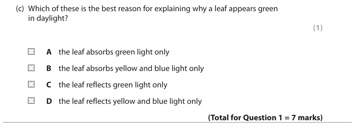 June 2025 Paper 1 Foundation, question 1(c): Which of these is the best reason for explaining why a leaf appears green in daylight? (1) A the leaf absorbs green light only B the leaf absorbs yellow and blu