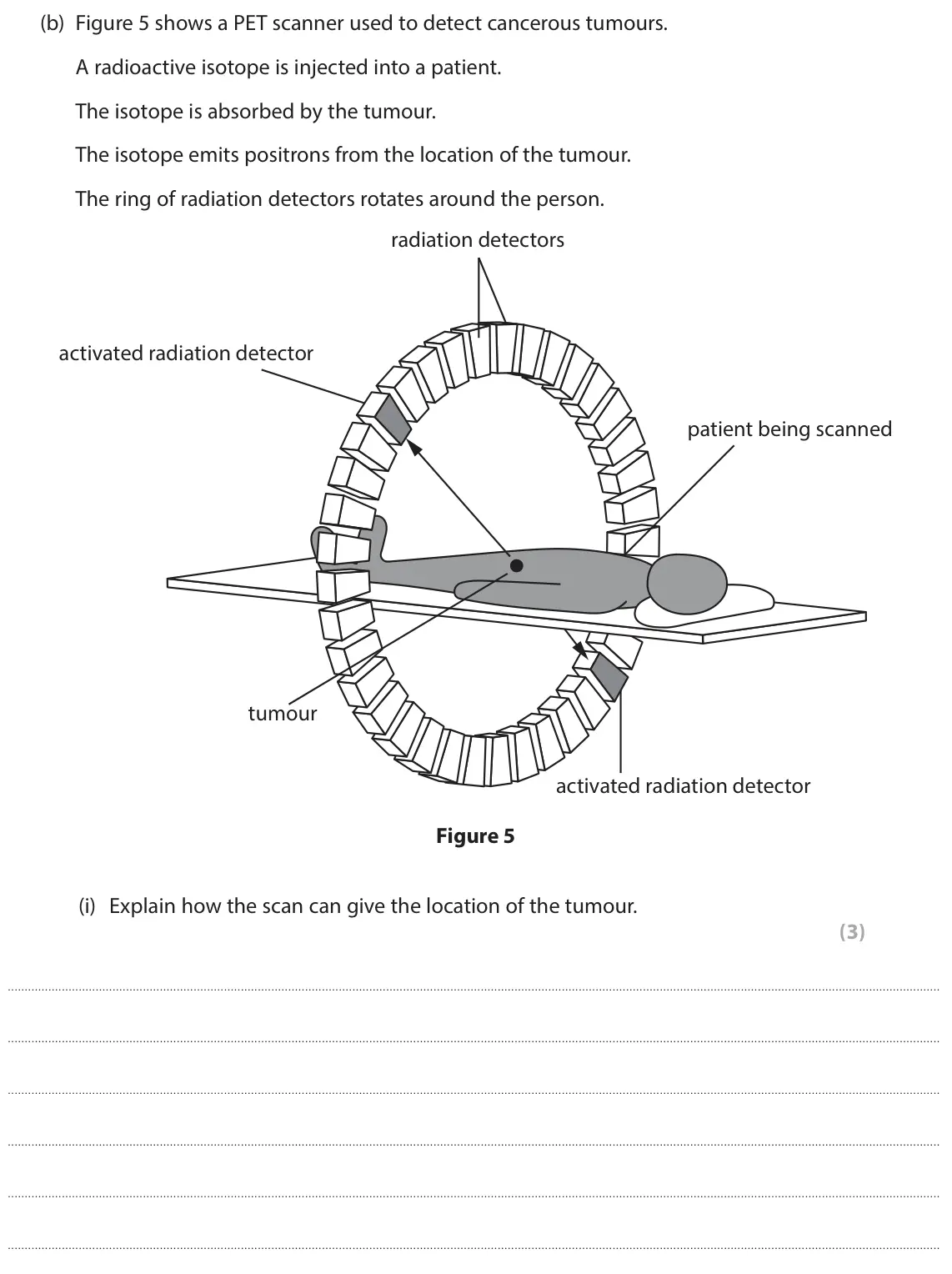June 2024 Paper 1 Higher, question 4(b)(i): Explain how the scan can give the location of the tumour. (3)