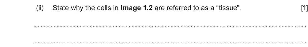 Summer 2022 AS Unit 1, question 1(b)(ii): State why the cells in Image 1.2 are referred to as a “tissue”. [1]