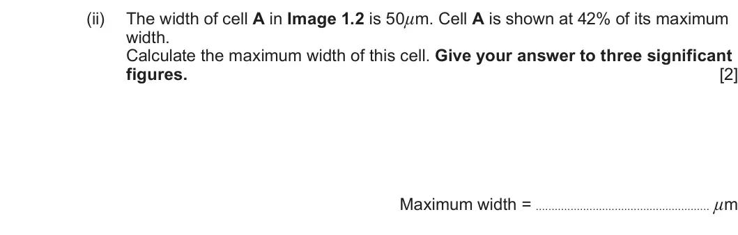 Summer 2022 AS Unit 1, question 1(c)(ii): The width of cell A in Image 1.2 is 50µm. Cell A is shown at 42% of its maximum width. Calculate the maximum width of this cell. Give your answer to three signi