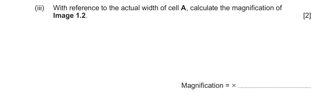 Summer 2022 AS Unit 1, question 1(c)(iii): With reference to the actual width of cell A, calculate the magnification of Image 1.2. [2] Magnification = ×