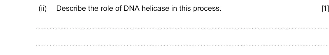 Summer 2022 AS Unit 1, question 3(b)(ii): Describe the role of DNA helicase in this process. [1]