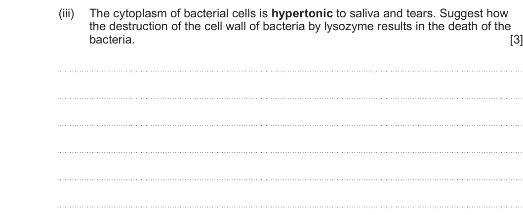 Summer 2023 AS Unit 1, question 1(a)(iii): The cytoplasm of bacterial cells is hypertonic to saliva and tears. Suggest how the destruction of the cell wall of bacteria by lysozyme results in the death of