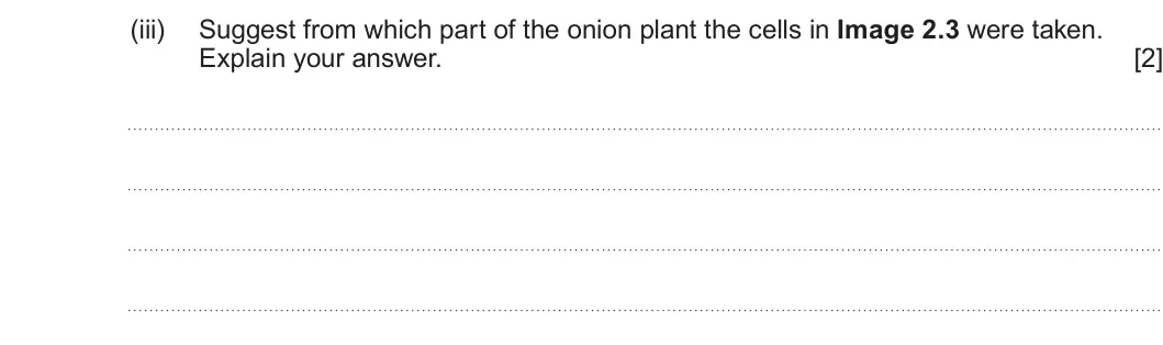 Summer 2023 AS Unit 1, question 2(c)(iii): Suggest from which part of the onion plant the cells in Image 2.3 were taken. Explain your answer. [2]