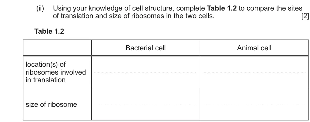 Summer 2024 AS Unit 1, question 1(a)(ii): Using your knowledge of cell structure, complete Table 1.2 to compare the sites of translation and size of ribosomes in the two cells. [2] Table 1.2 Bacterial c