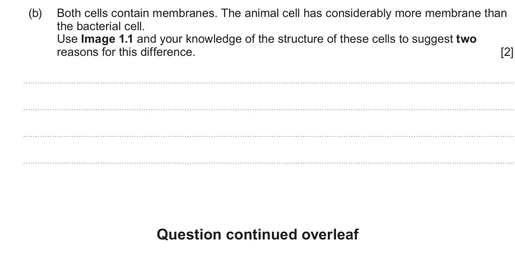Summer 2024 AS Unit 1, question 1(b): Both cells contain membranes. The animal cell has considerably more membrane than the bacterial cell. Use Image 1.1 and your knowledge of the structure of these