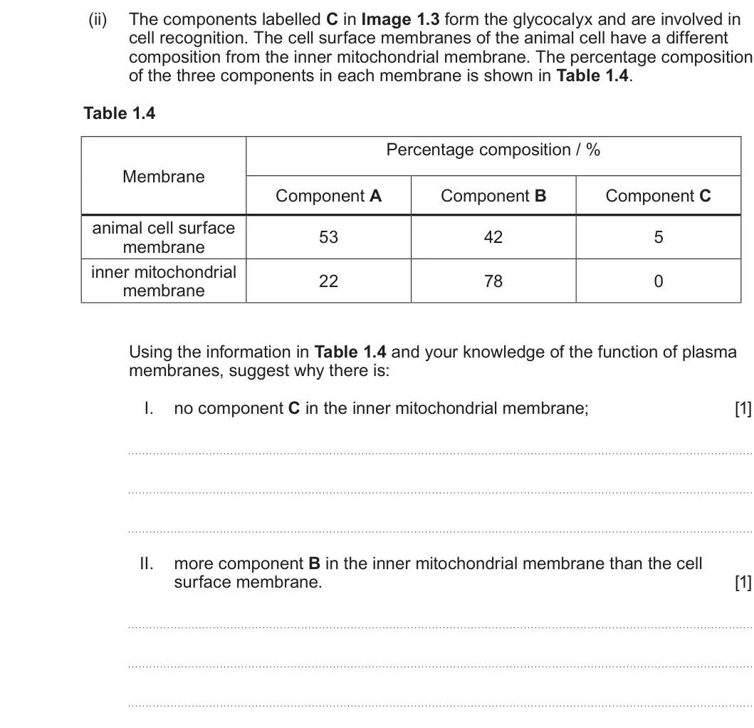 Summer 2024 AS Unit 1, question 1(c)(ii): The components labelled C in Image 1.3 form the glycocalyx and are involved in cell recognition. The cell surface membranes of the animal cell have a different