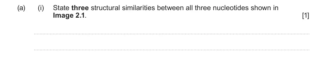 Summer 2024 AS Unit 1, question 2(a)(i): State three structural similarities between all three nucleotides shown in Image 2.1. [1]