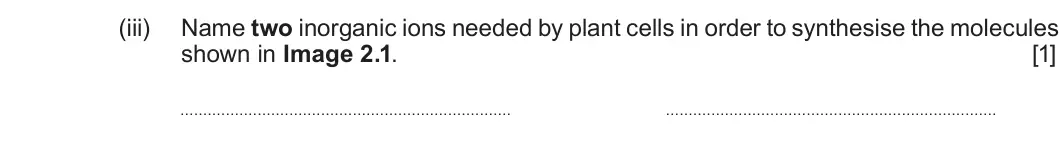 Summer 2024 AS Unit 1, question 2(a)(iii): Name two inorganic ions needed by plant cells in order to synthesise the molecules shown in Image 2.1. [1]